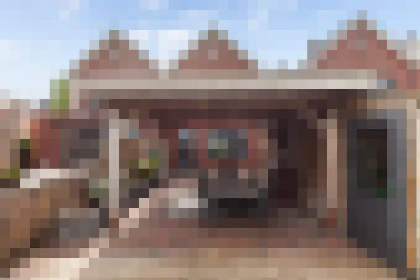 Kamperfoelie 11 Brandwijk thumbnail 29
