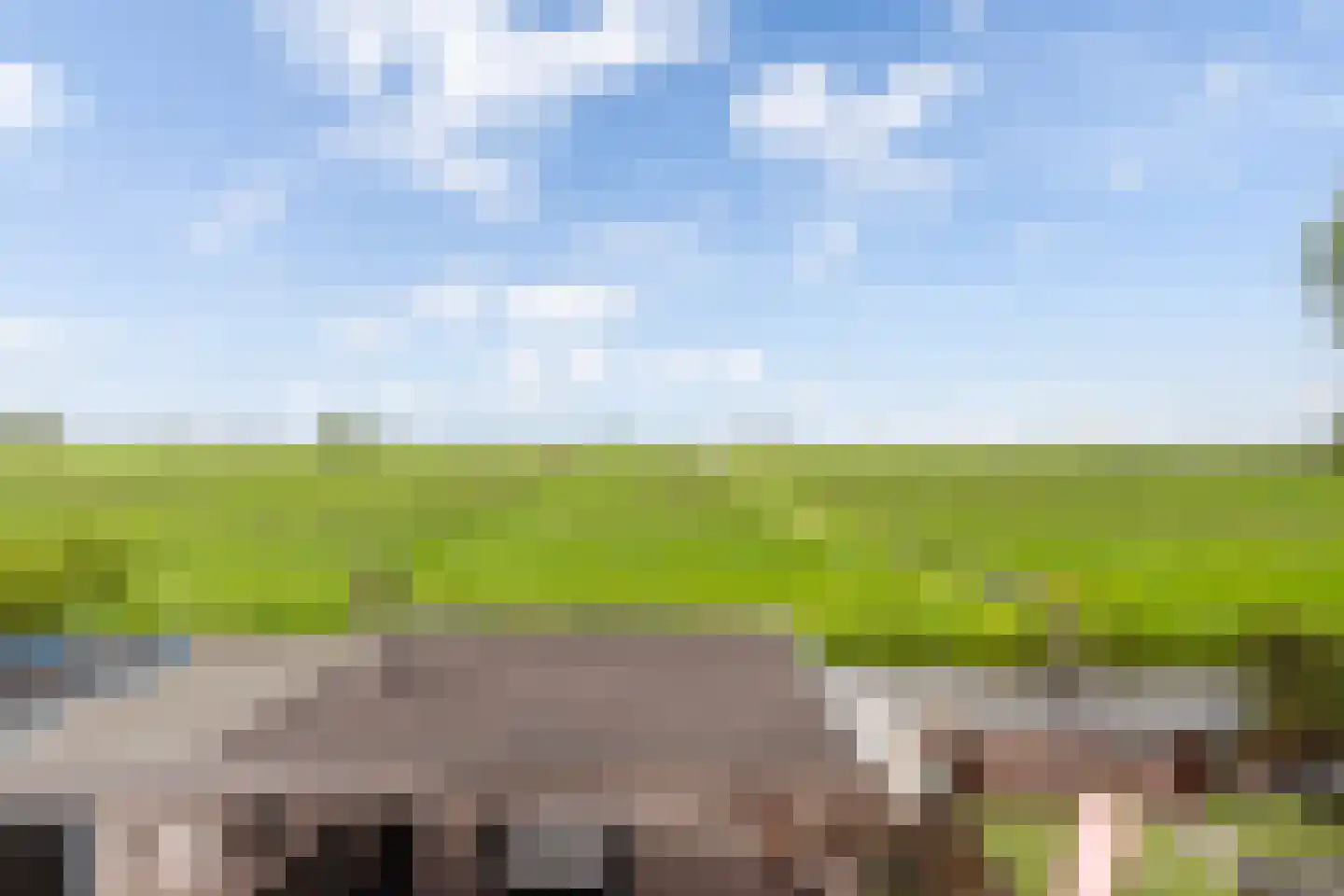 Kamperfoelie 11 Brandwijk thumbnail 32