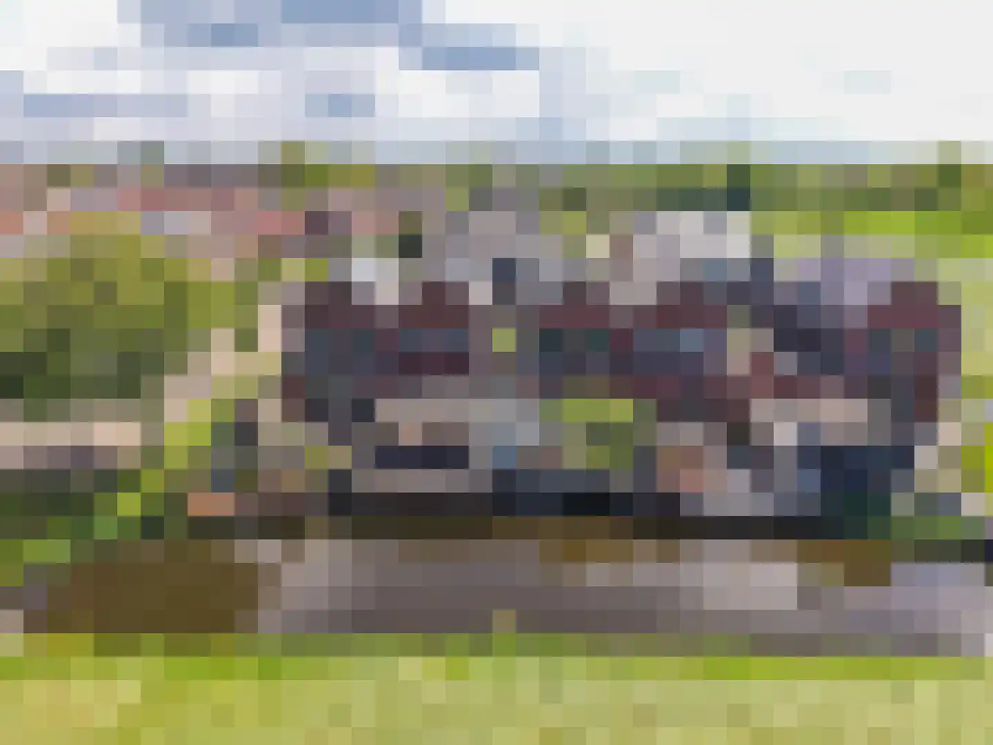 Kamperfoelie 11 Brandwijk thumbnail 33