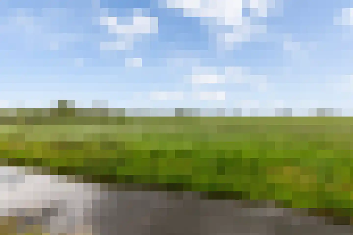 Kamperfoelie 11 Brandwijk thumbnail 35