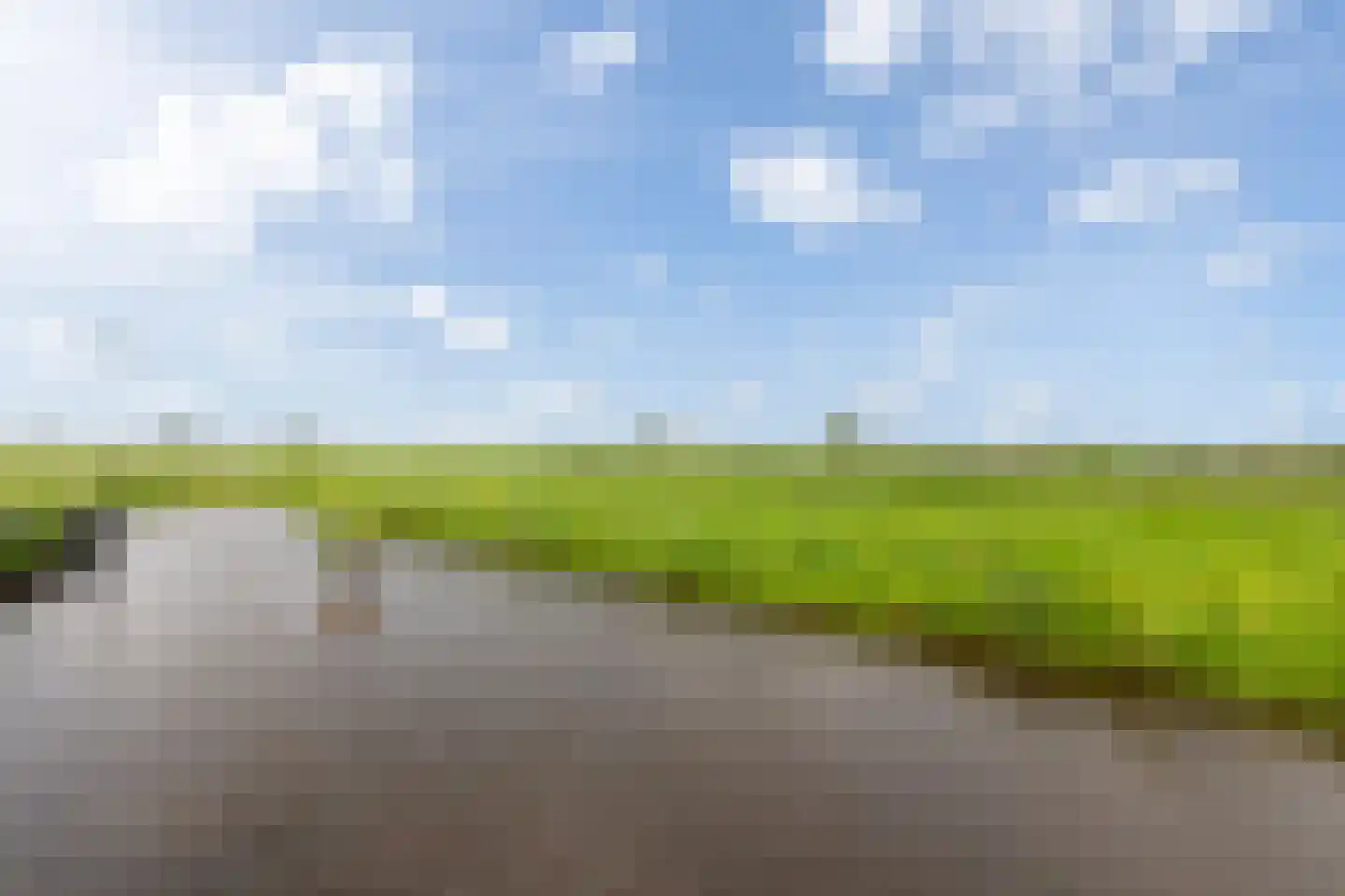 Kamperfoelie 11 Brandwijk thumbnail 37