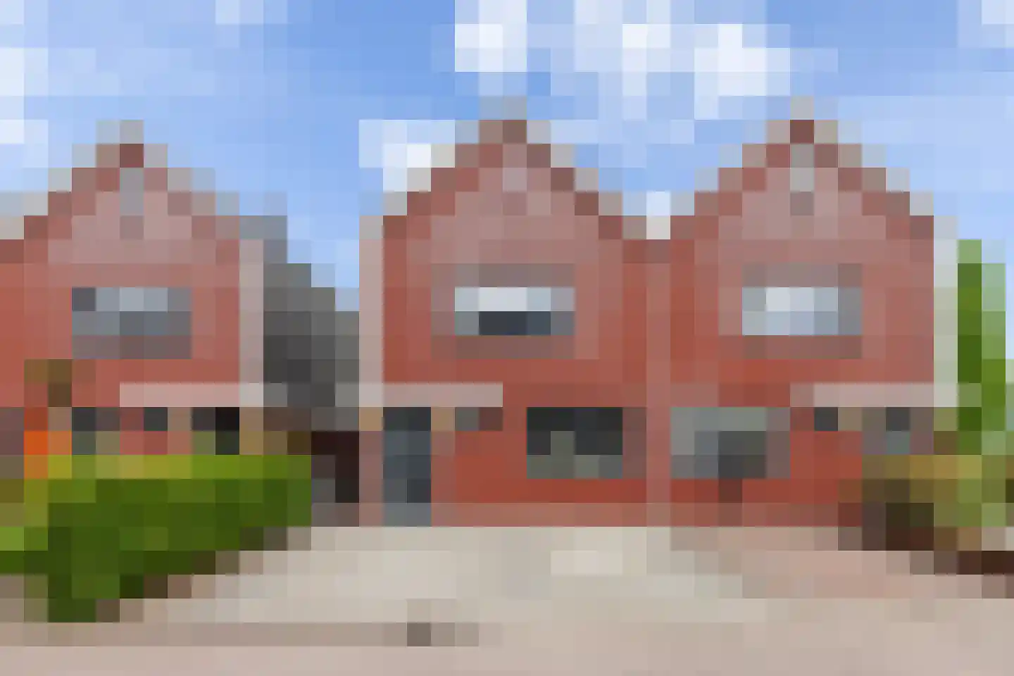 Kamperfoelie 11 Brandwijk thumbnail 4