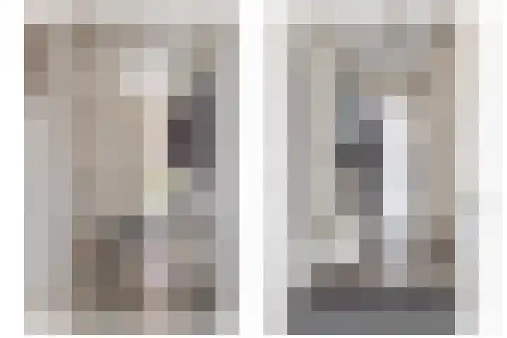 Kamperfoelie 11 Leek thumbnail 18