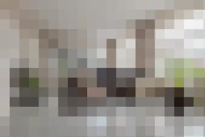 Kamperfoelie 11 Leek thumbnail 21