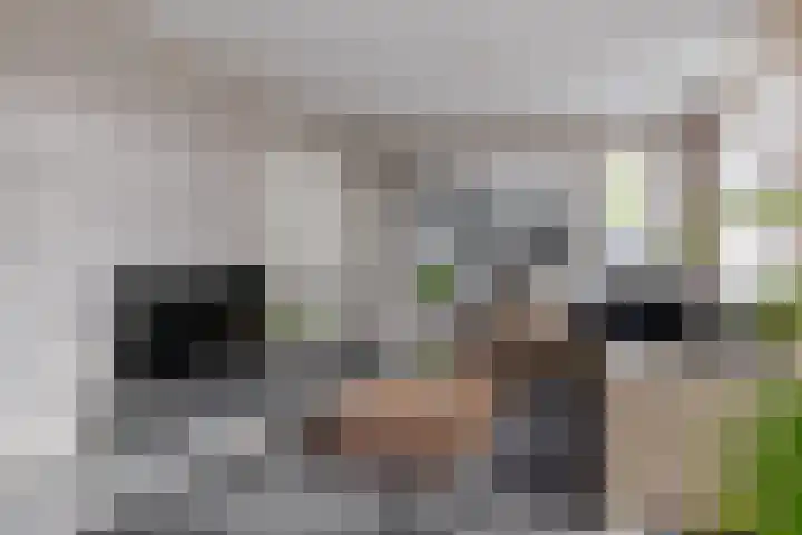 Kamperfoelie 11 Leek thumbnail 22