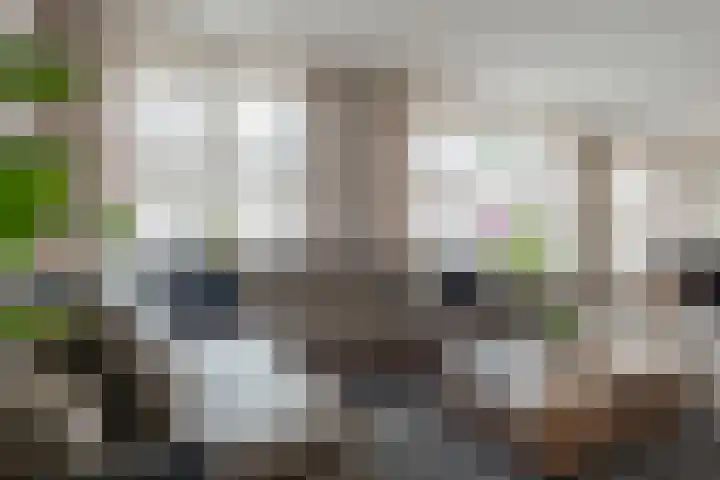 Kamperfoelie 11 Leek thumbnail 23