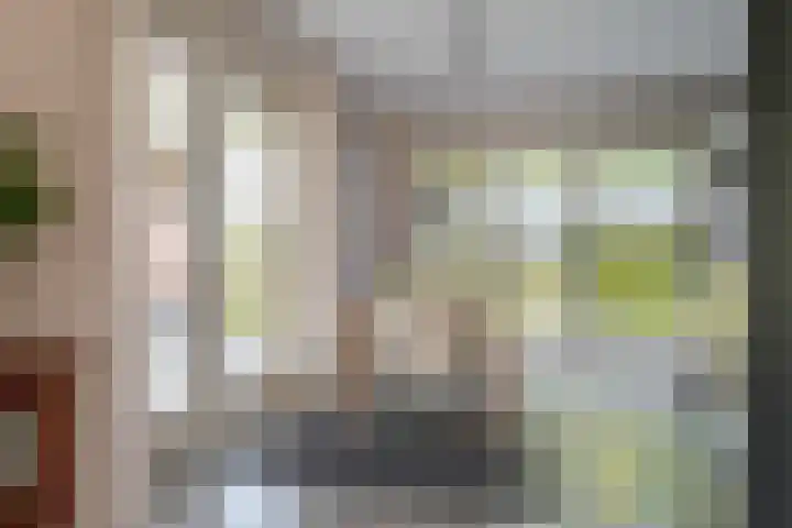 Kamperfoelie 11 Leek thumbnail 27