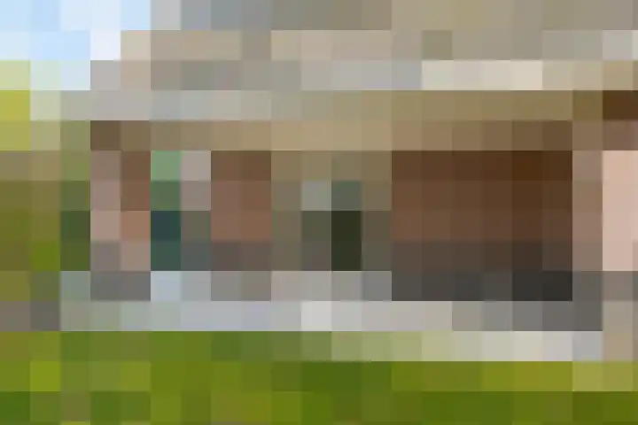 Kamperfoelie 11 Leek thumbnail 31