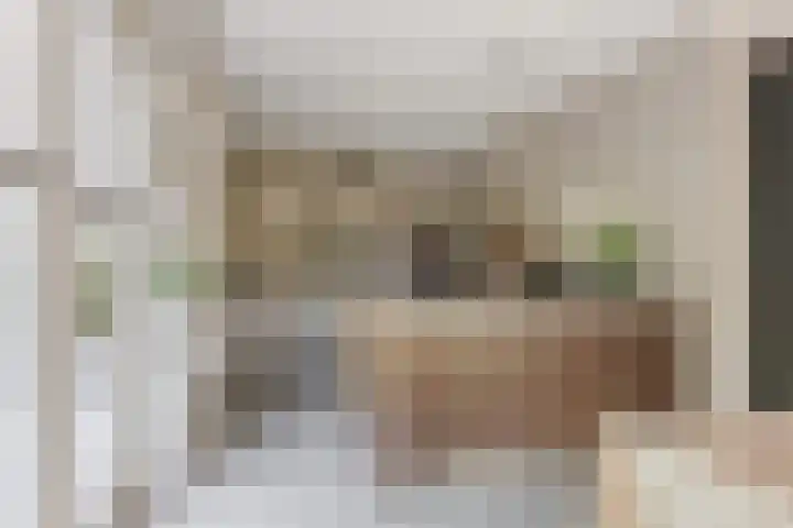Kamperfoelie 11 Leek thumbnail 39