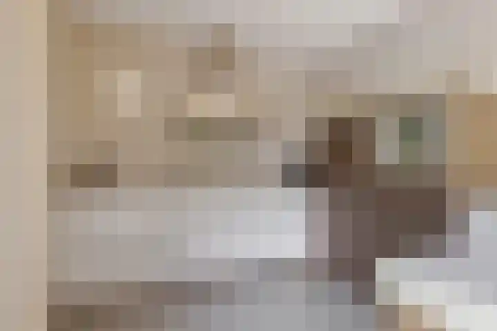 Kamperfoelie 11 Leek thumbnail 4