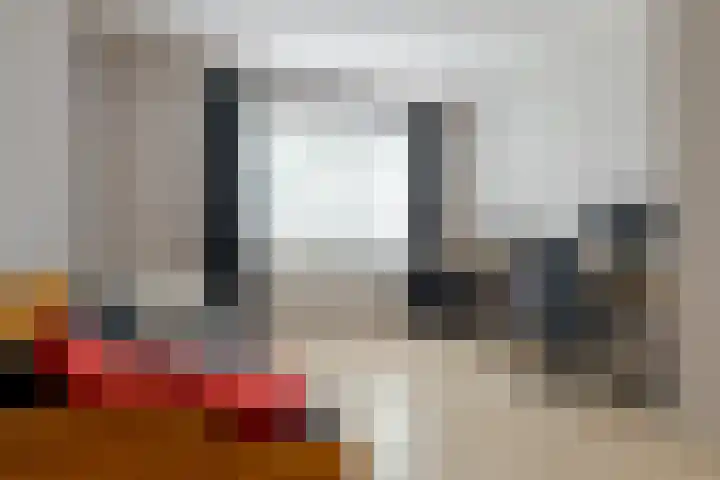 Kamperfoelie 11 Leek thumbnail 52