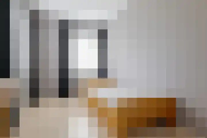 Kamperfoelie 11 Leek thumbnail 54