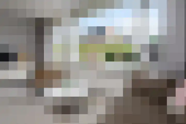 Kamperfoelie 16 Brandwijk thumbnail 10
