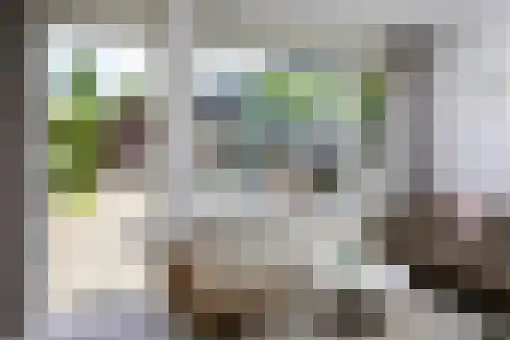 Kamperfoelie 16 Brandwijk thumbnail 11