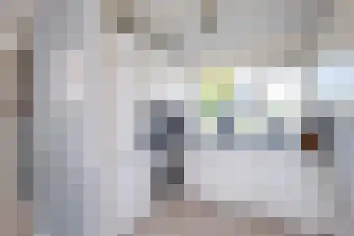 Kamperfoelie 16 Brandwijk thumbnail 12