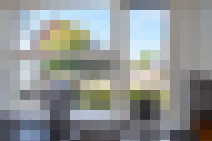 Kamperfoelie 16 Brandwijk thumbnail 13