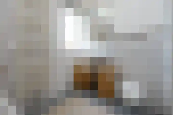 Kamperfoelie 16 Brandwijk thumbnail 21