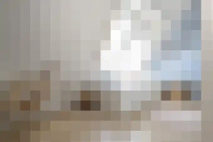 Kamperfoelie 16 Brandwijk thumbnail 24