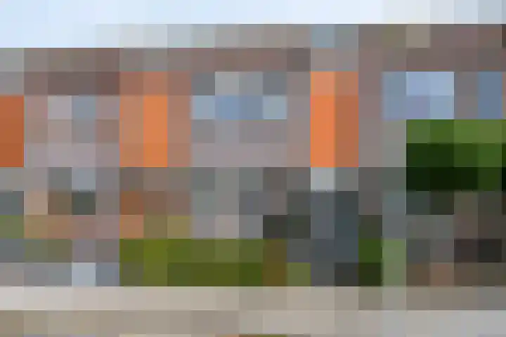 Kamperfoelie 16 Brandwijk thumbnail 29