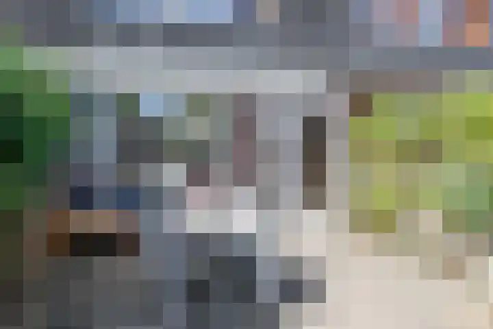 Kamperfoelie 16 Brandwijk thumbnail 4