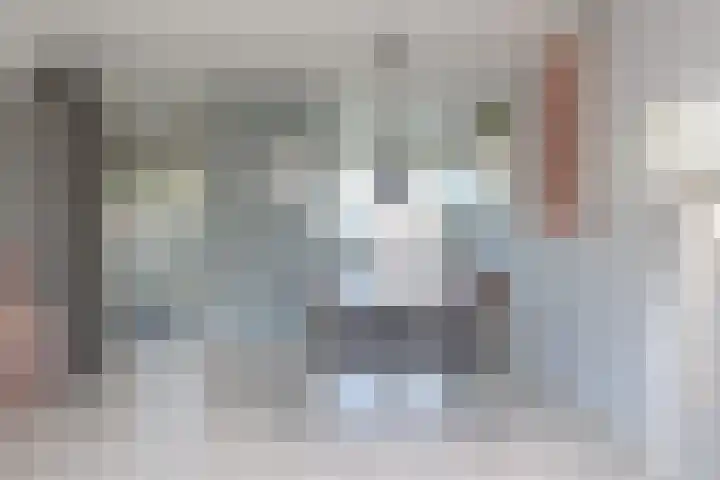 Kamperfoelie 16 Brandwijk thumbnail 7