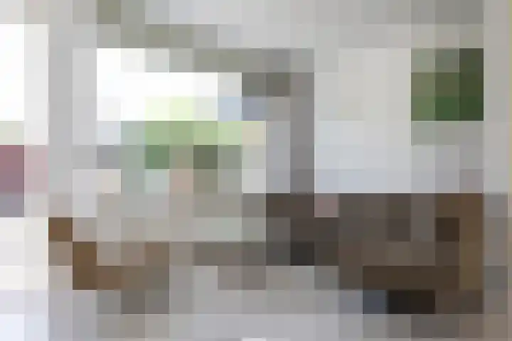 Kamperfoelie 16 Brandwijk thumbnail 9