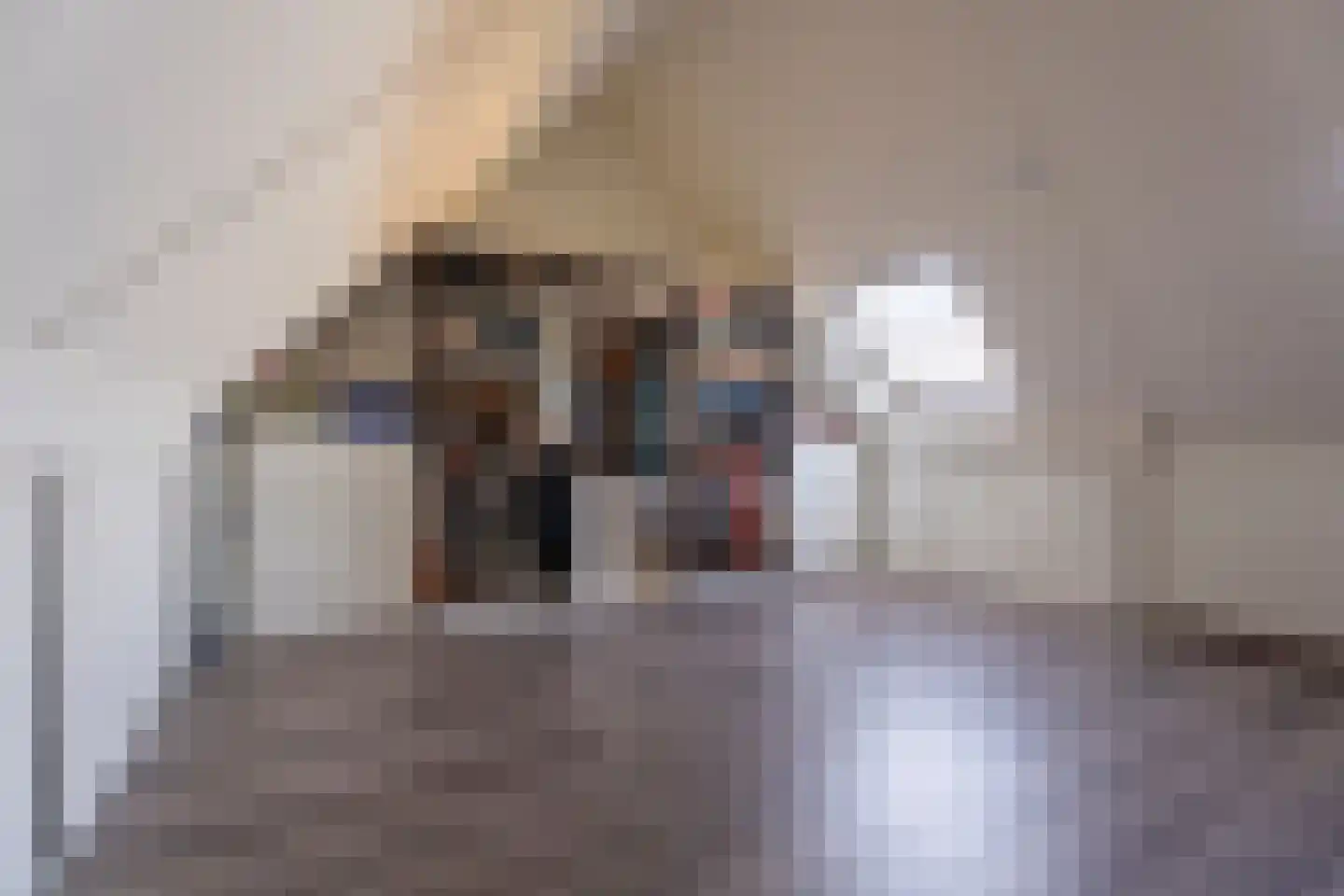 Kamperfoelie 18 Rijnsburg thumbnail 22