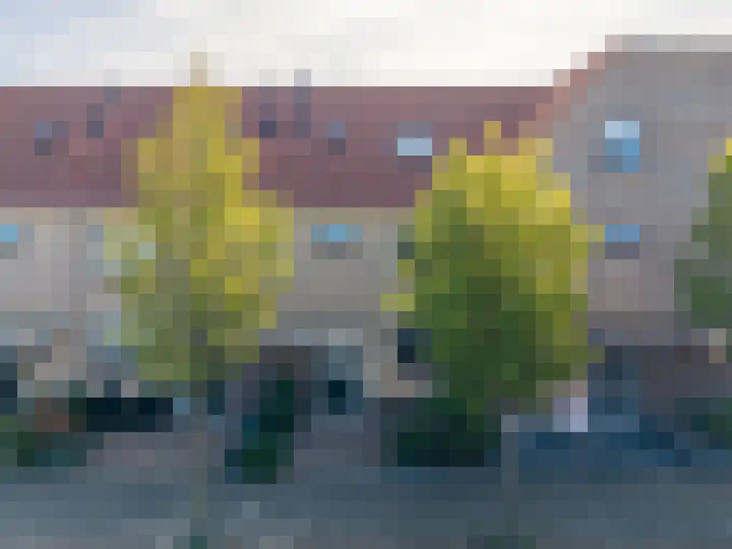 Kamperfoelie 18 Rijnsburg thumbnail 27