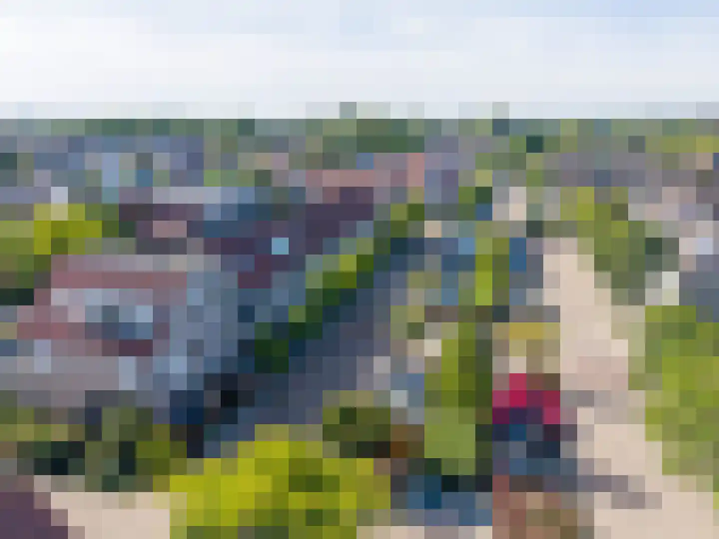 Kamperfoelie 18 Rijnsburg thumbnail 28