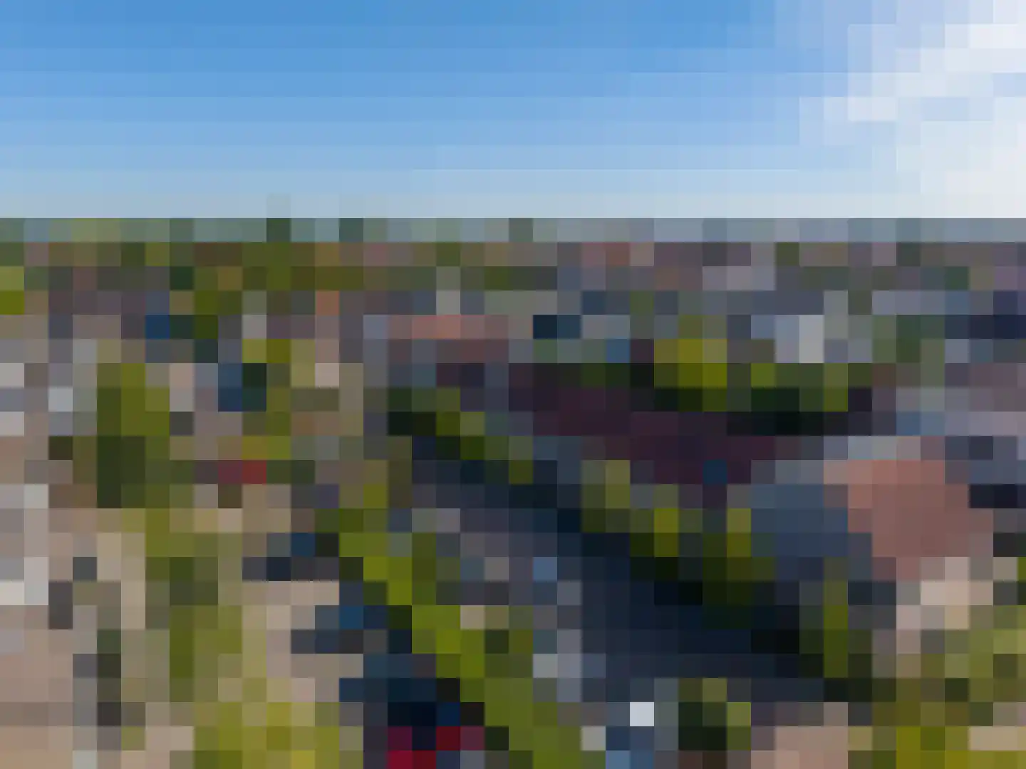 Kamperfoelie 18 Rijnsburg thumbnail 29