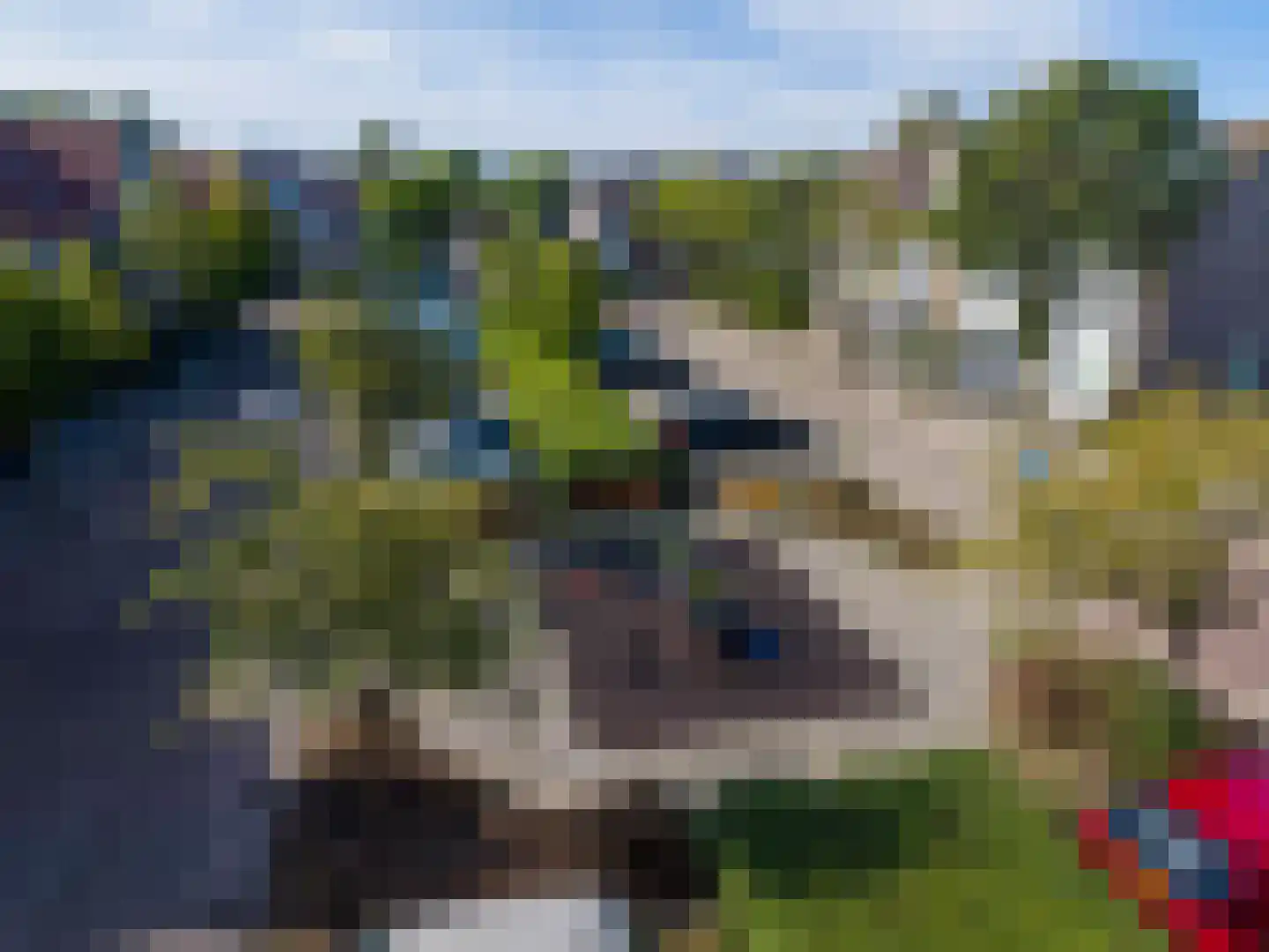 Kamperfoelie 18 Rijnsburg thumbnail 30