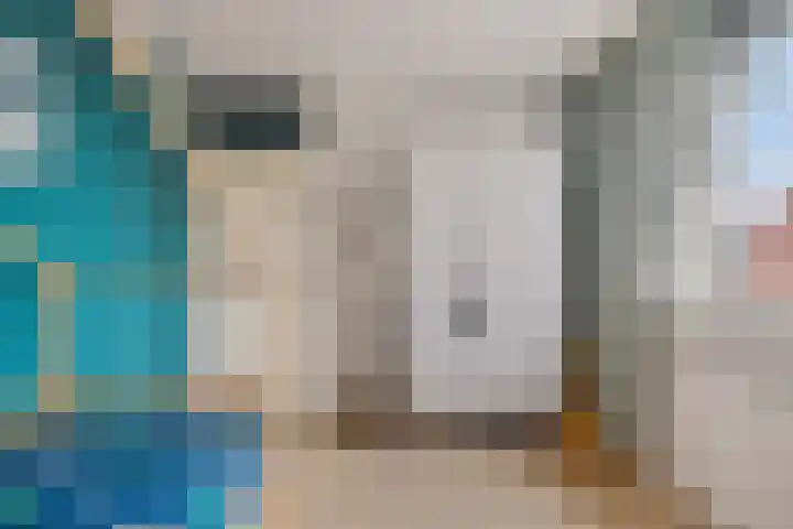 Kamperfoelie 19 Poortugaal thumbnail 21
