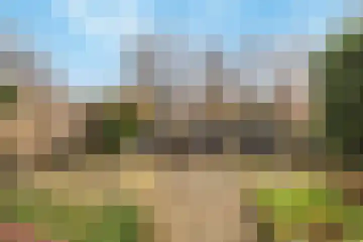 Kamperfoelie 19 Poortugaal thumbnail 30