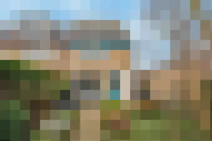 Kamperfoelie 19 Poortugaal thumbnail 31
