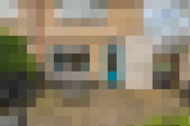 Kamperfoelie 19 Poortugaal thumbnail 32