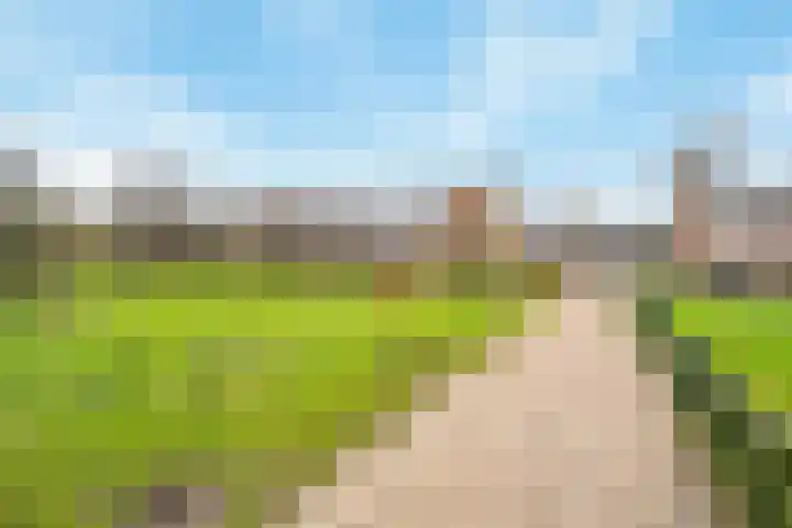 Kamperfoelie 19 Poortugaal thumbnail 33