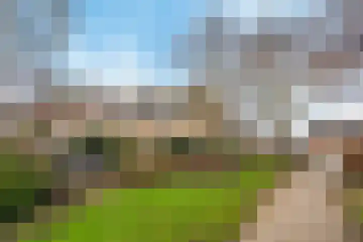 Kamperfoelie 19 Poortugaal thumbnail 35