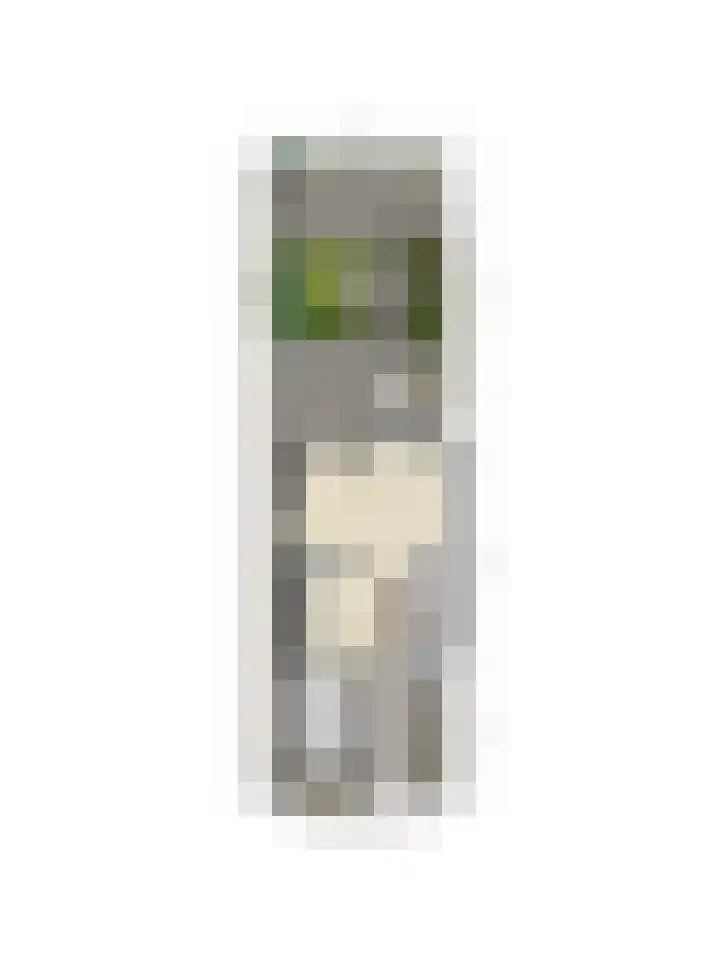 Kamperfoelie 19 Poortugaal thumbnail 39