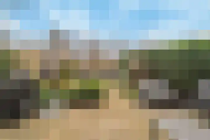 Kamperfoelie 19 Poortugaal thumbnail 5