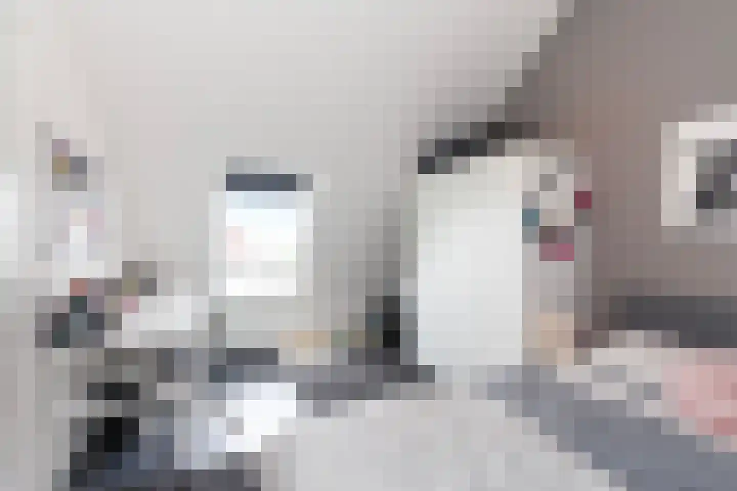 Kamperfoelie 20 Brandwijk thumbnail 22