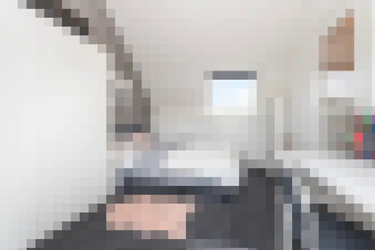 Kamperfoelie 20 Brandwijk thumbnail 23