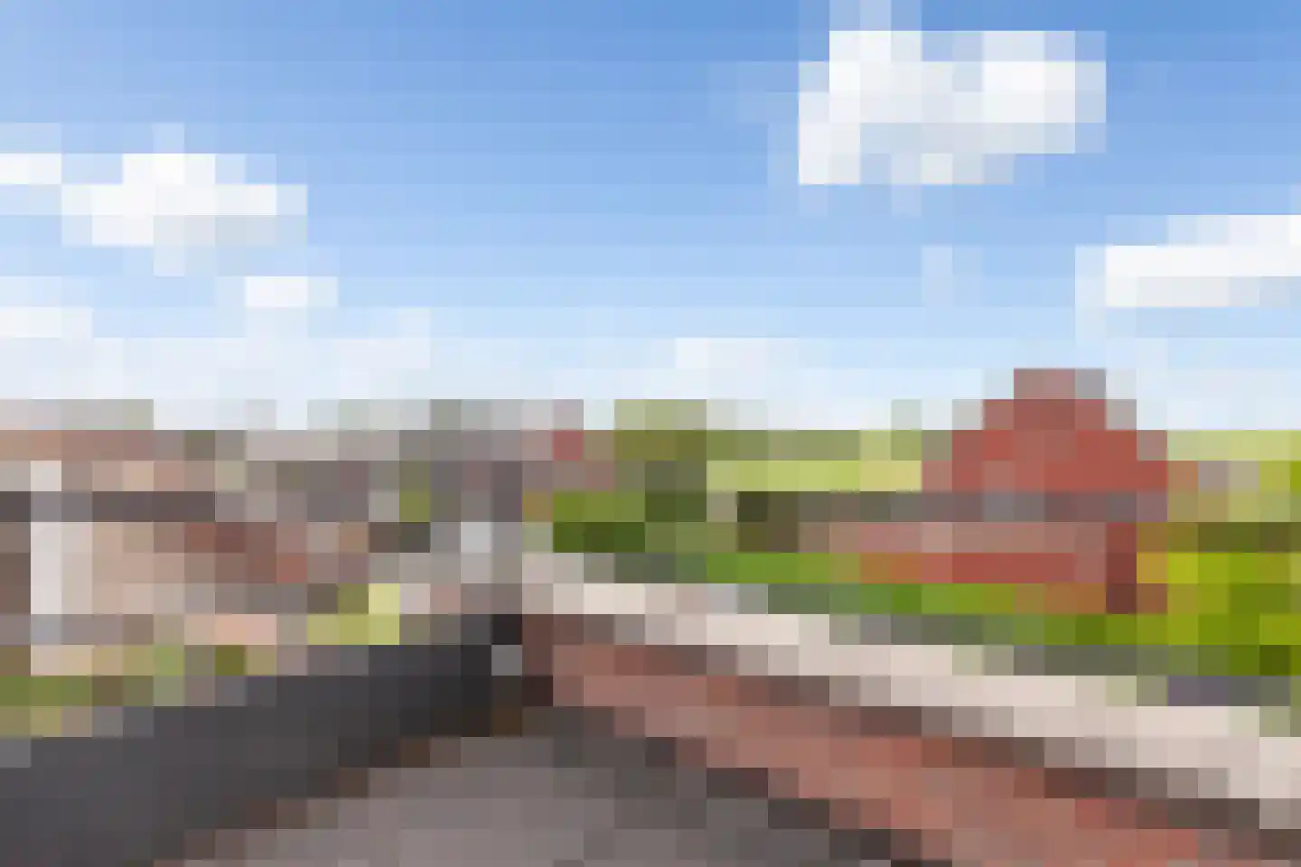Kamperfoelie 20 Brandwijk thumbnail 25