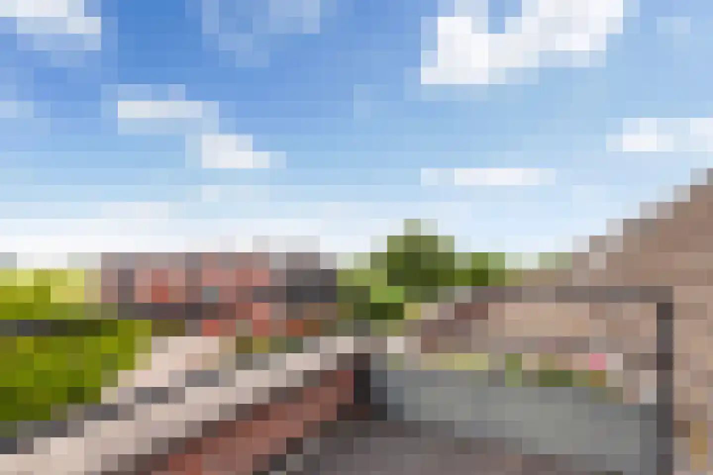 Kamperfoelie 20 Brandwijk thumbnail 26