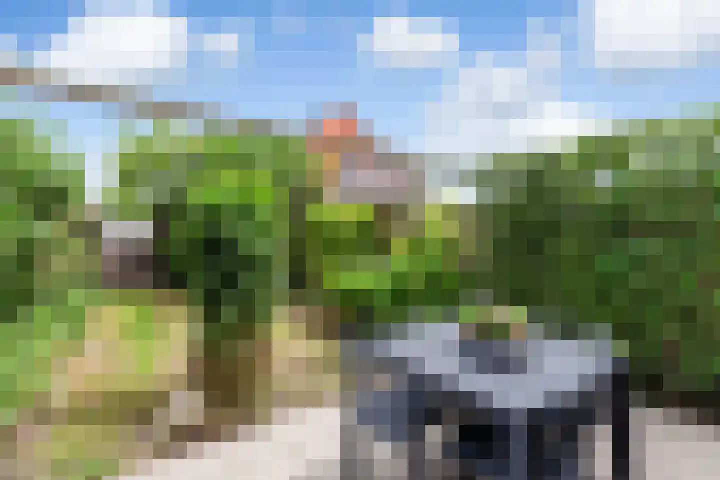 Kamperfoelie 20 Brandwijk thumbnail 27