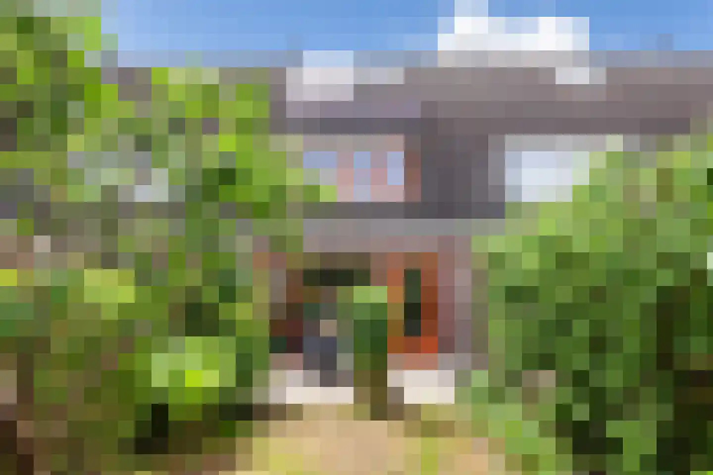 Kamperfoelie 20 Brandwijk thumbnail 28