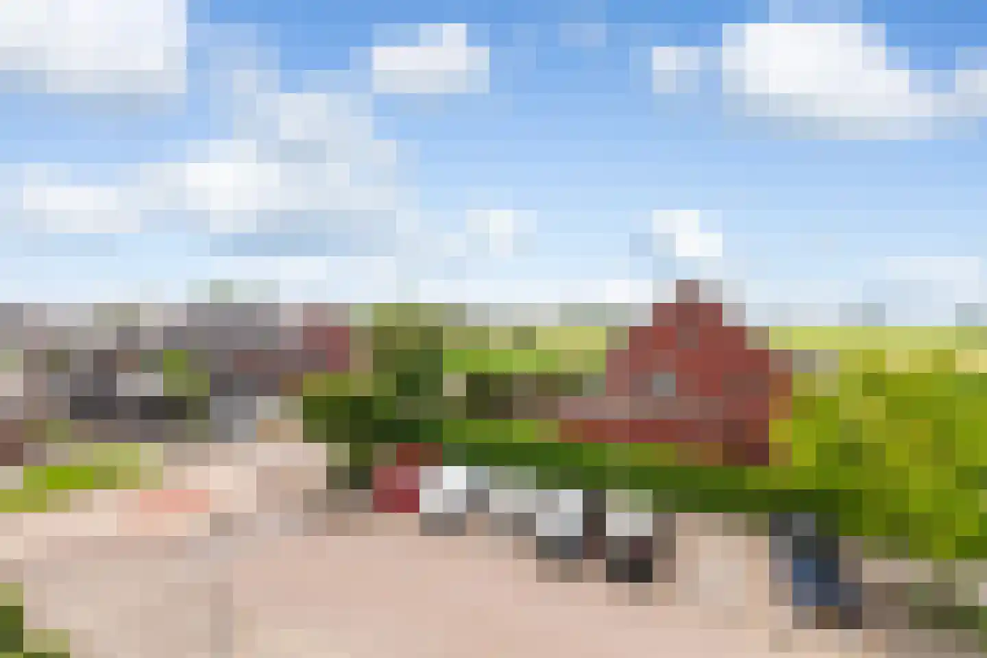 Kamperfoelie 20 Brandwijk thumbnail 31