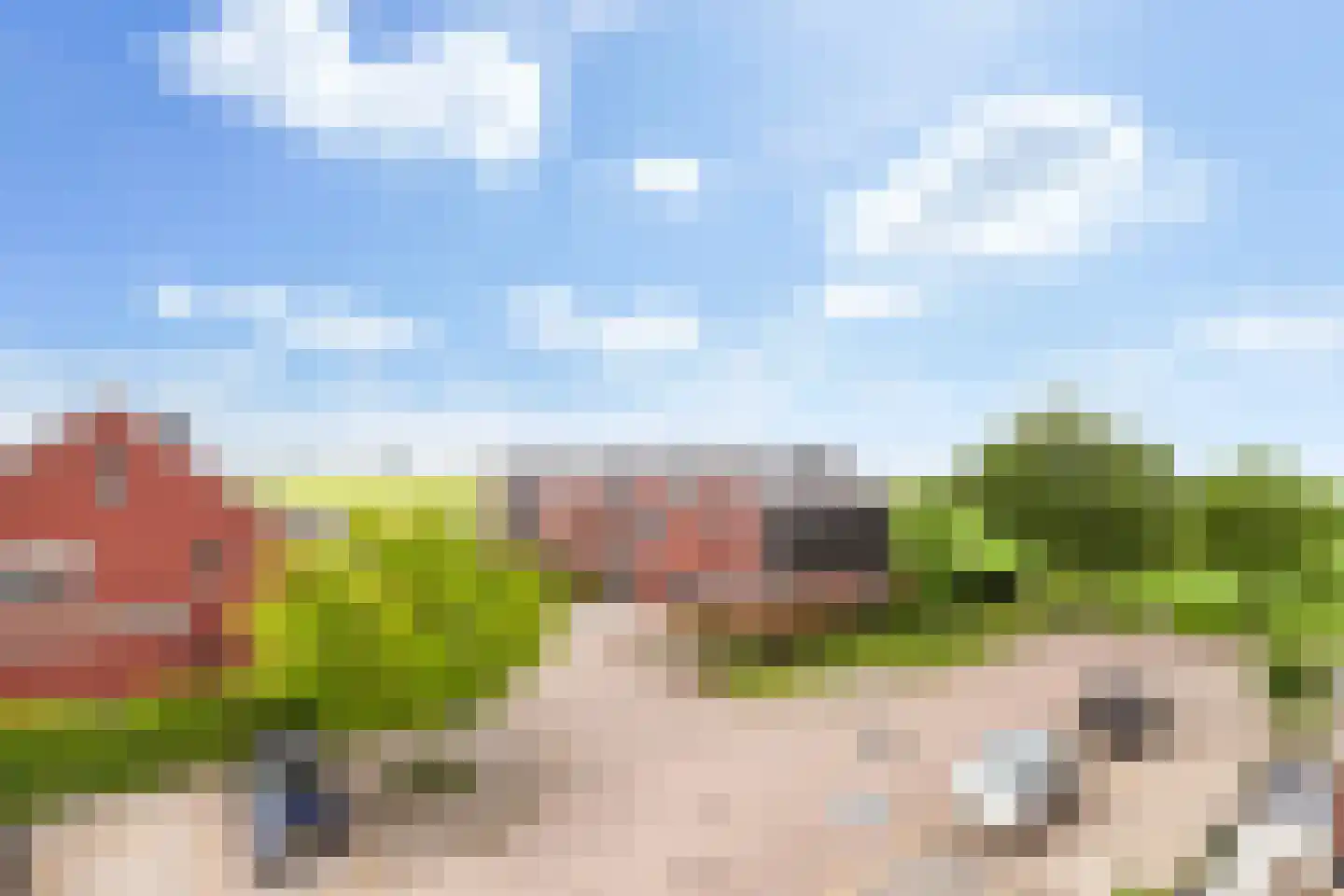 Kamperfoelie 20 Brandwijk thumbnail 32