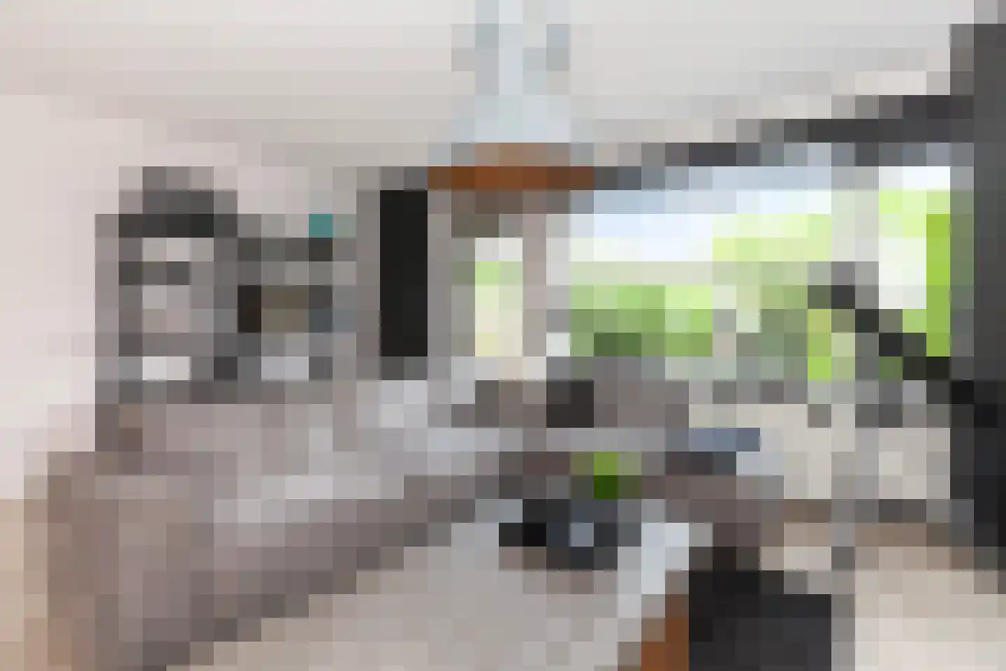 Kamperfoelie 20 Brandwijk thumbnail 4