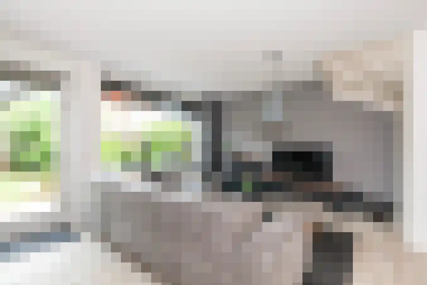 Kamperfoelie 20 Brandwijk thumbnail 5