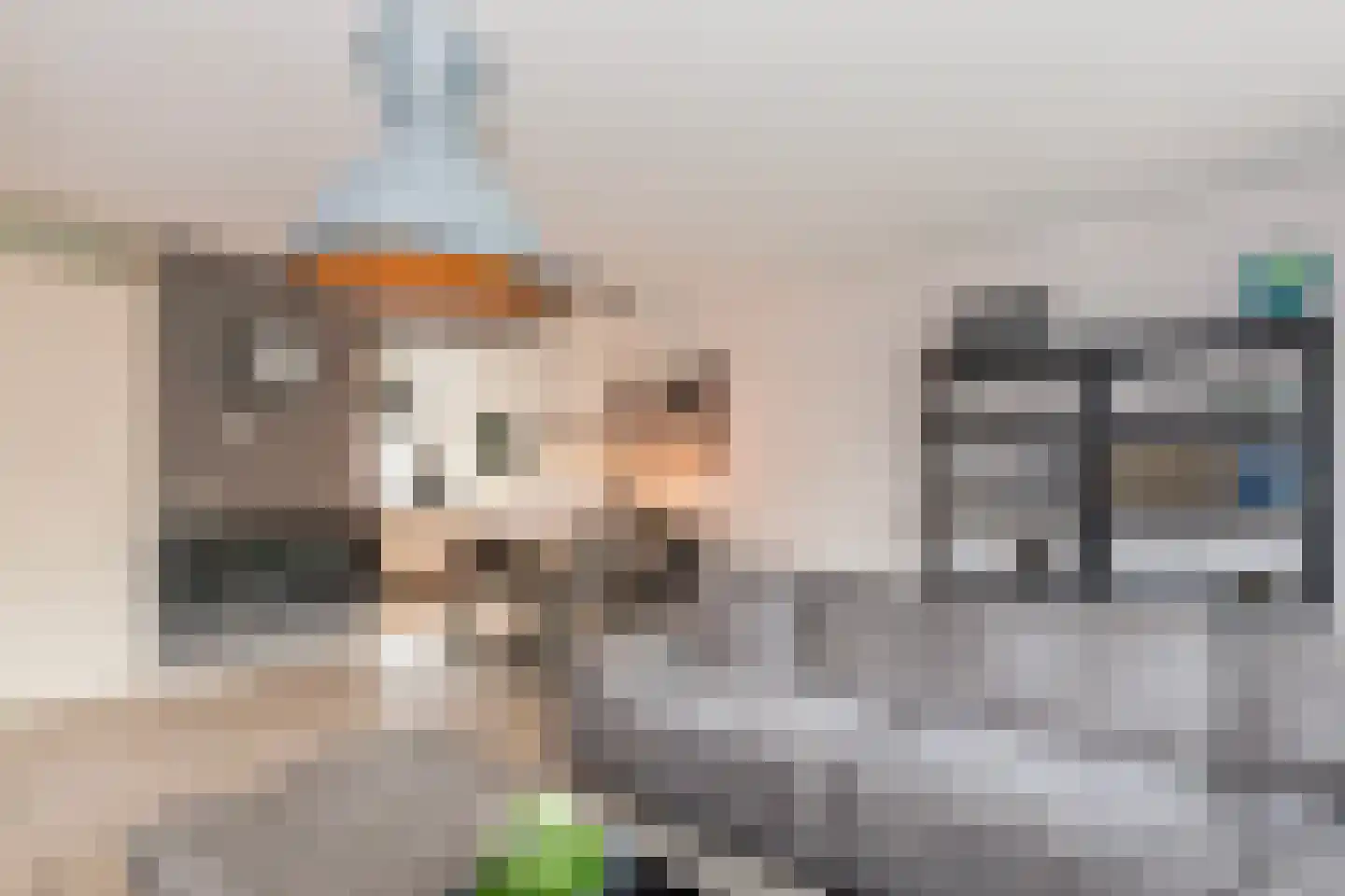 Kamperfoelie 20 Brandwijk thumbnail 7